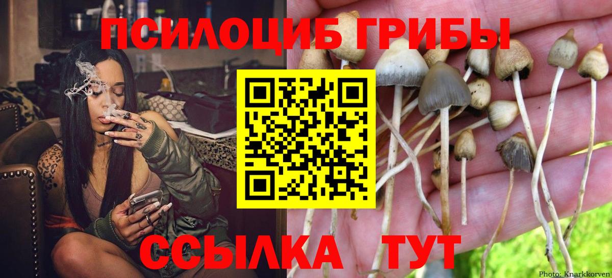 Галлюциногенные грибы ЛСД  Вход с VPN  Майский  цена наркотик  Псилоцибиновые грибы прущие грибы 