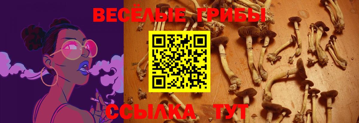APVP СК   Вход с VPN  Cocaine  Марихуана  Майский  МЕФ   ГАШ  Гашиш 